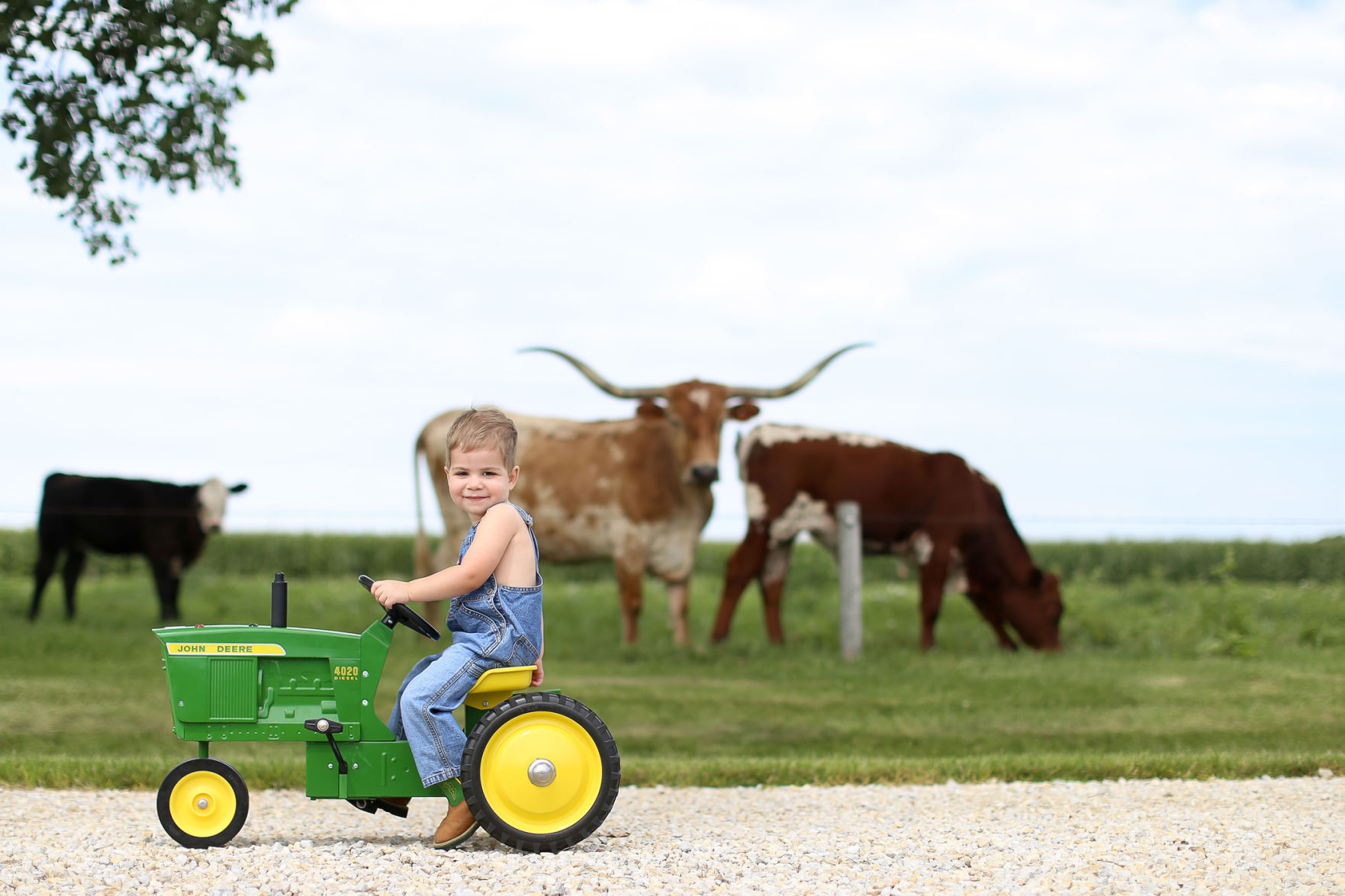 wyatt on tractor.jpg